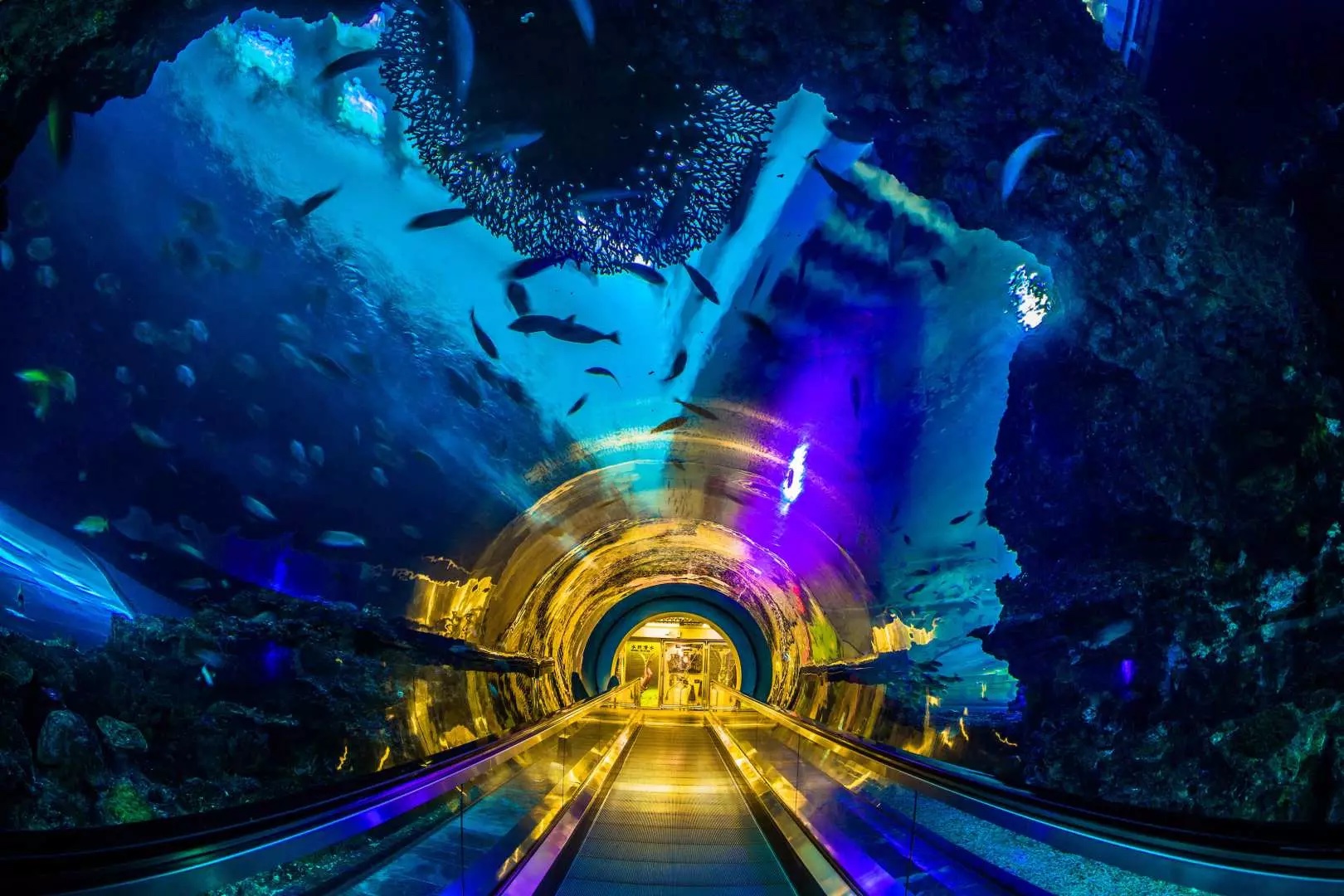 國立海洋生物博物館