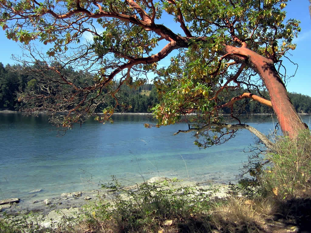 Galiano Island