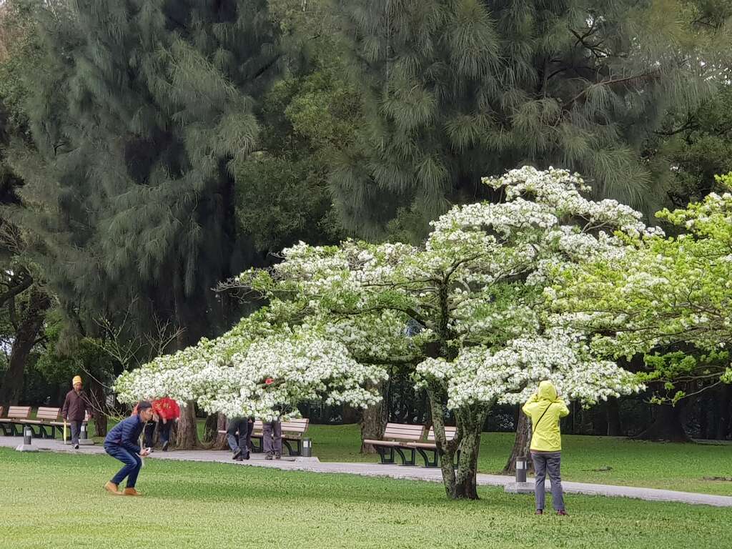 十一份觀光文化園區
