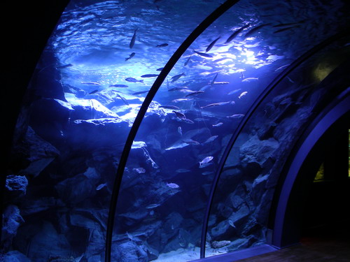 Civic Aquarium of Milan