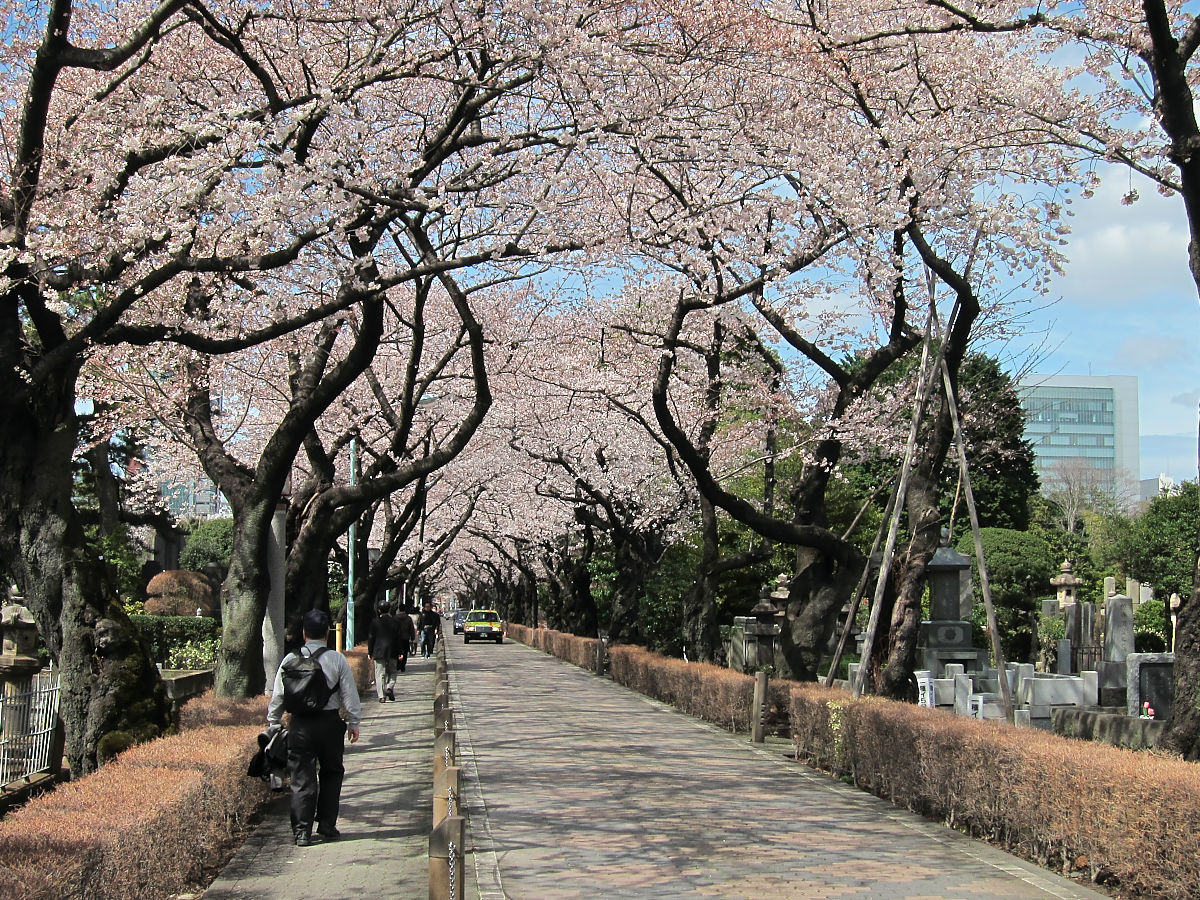 青山靈園