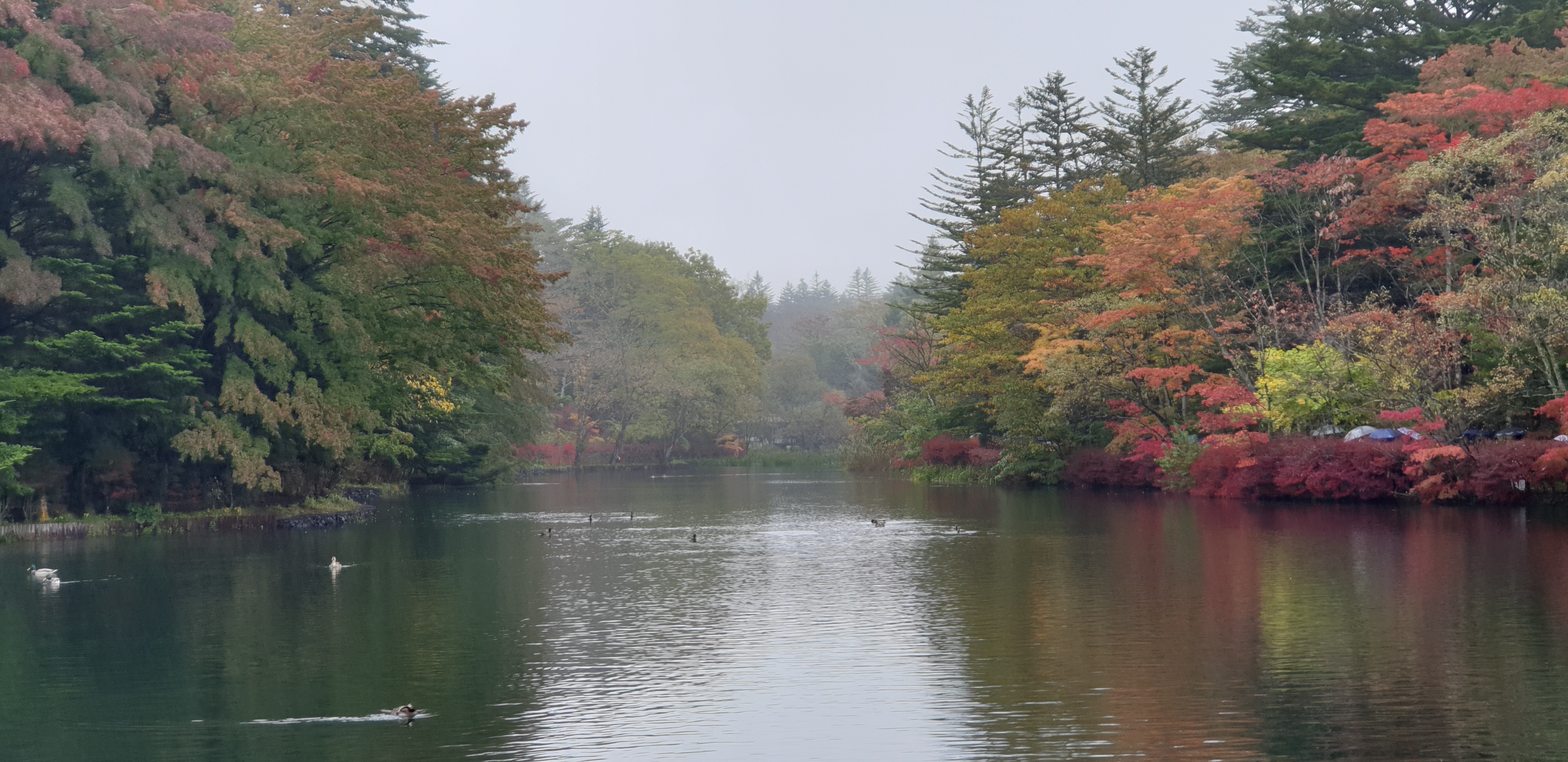 輕井澤湖花園