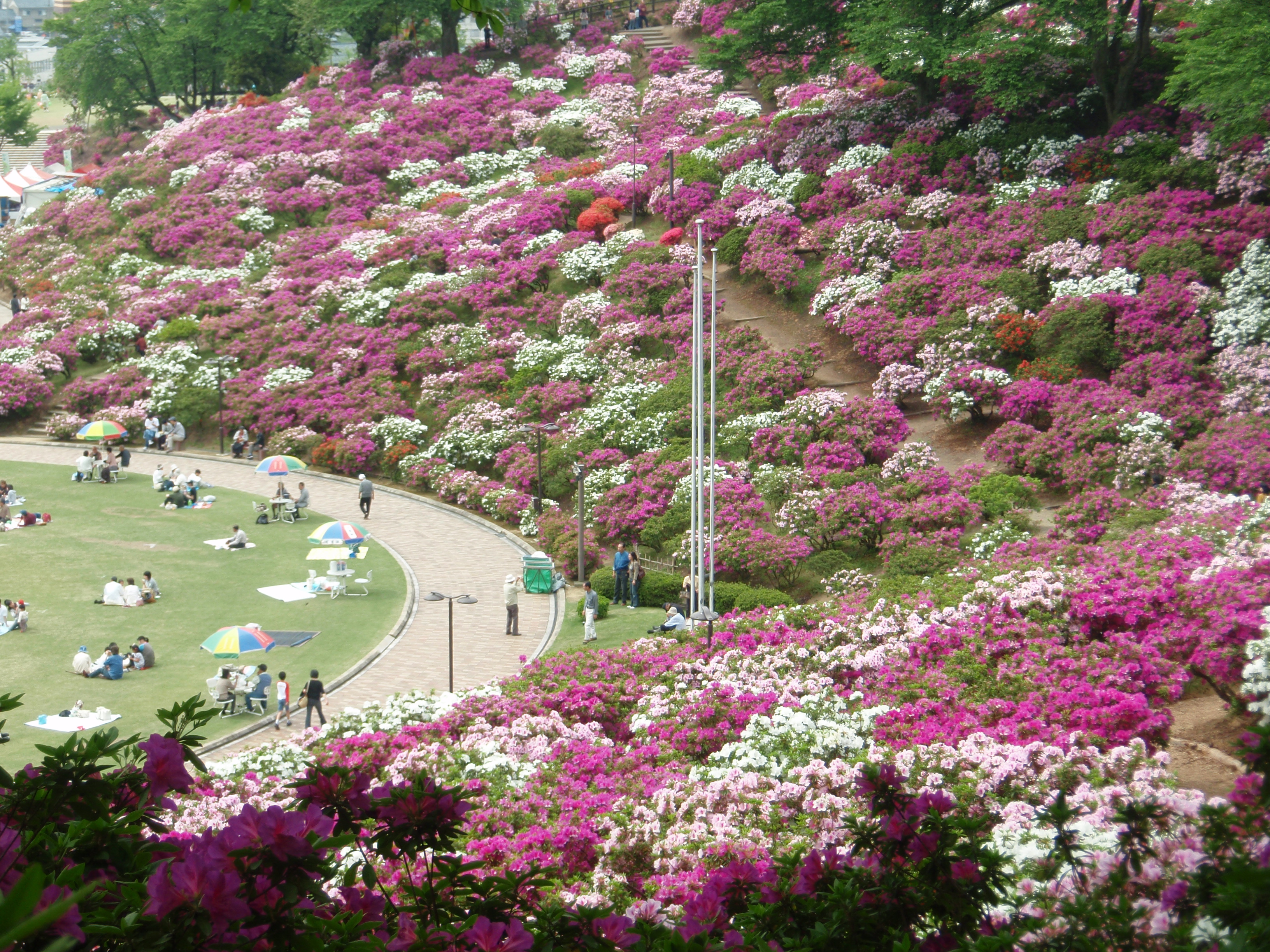 西山公園