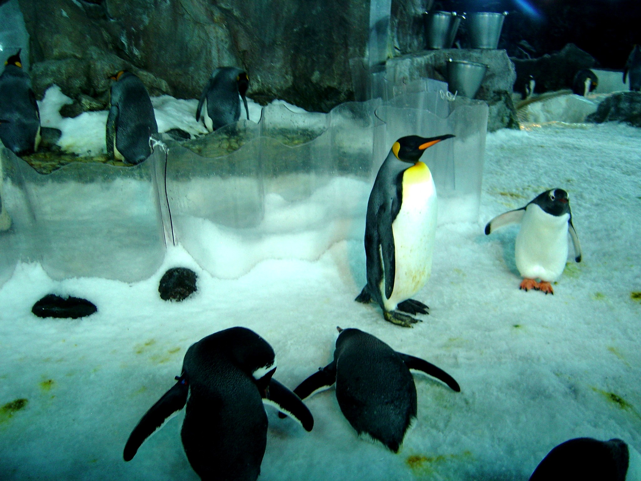 凱莉-塔爾敦海洋生物水族館