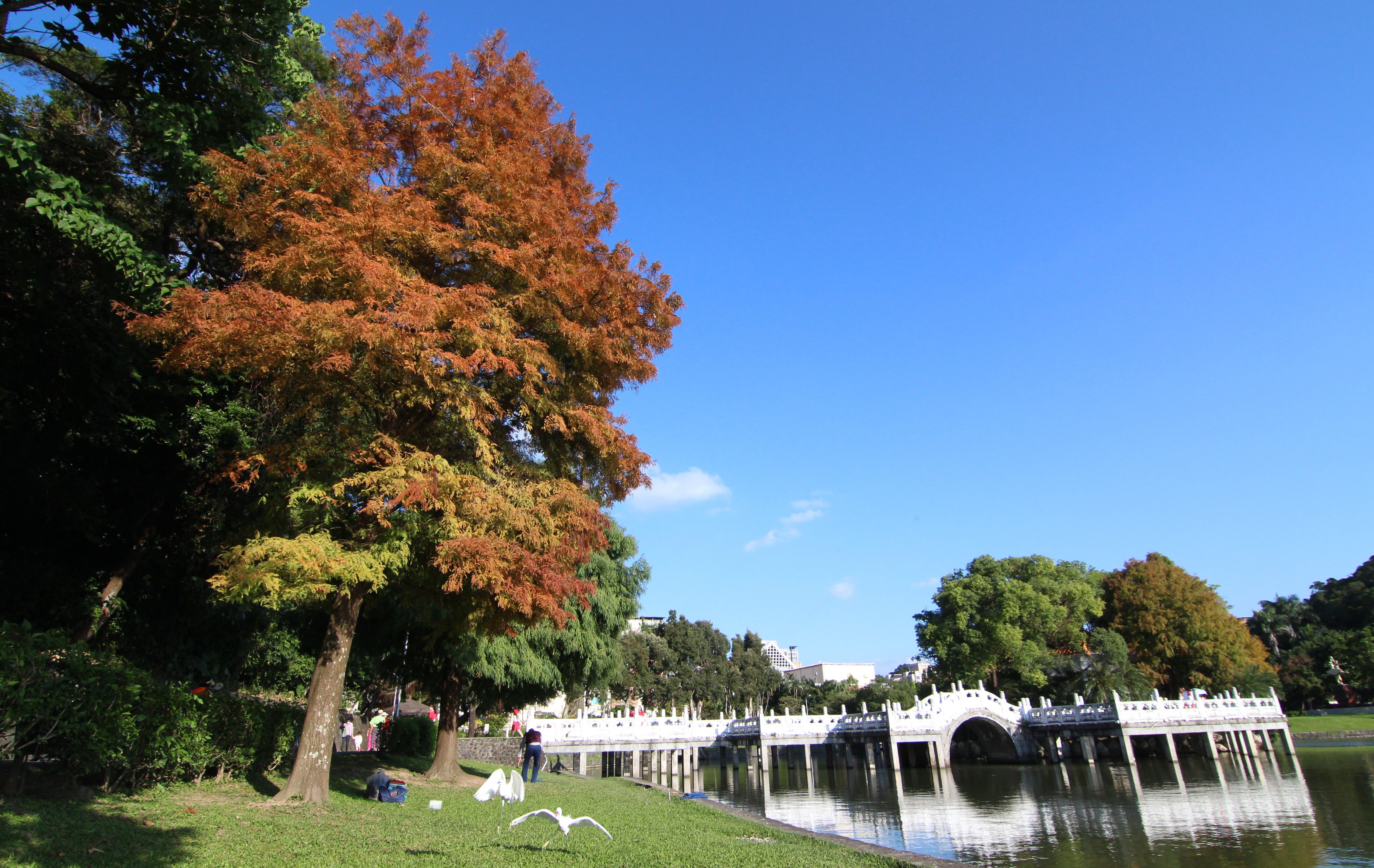 碧湖公園