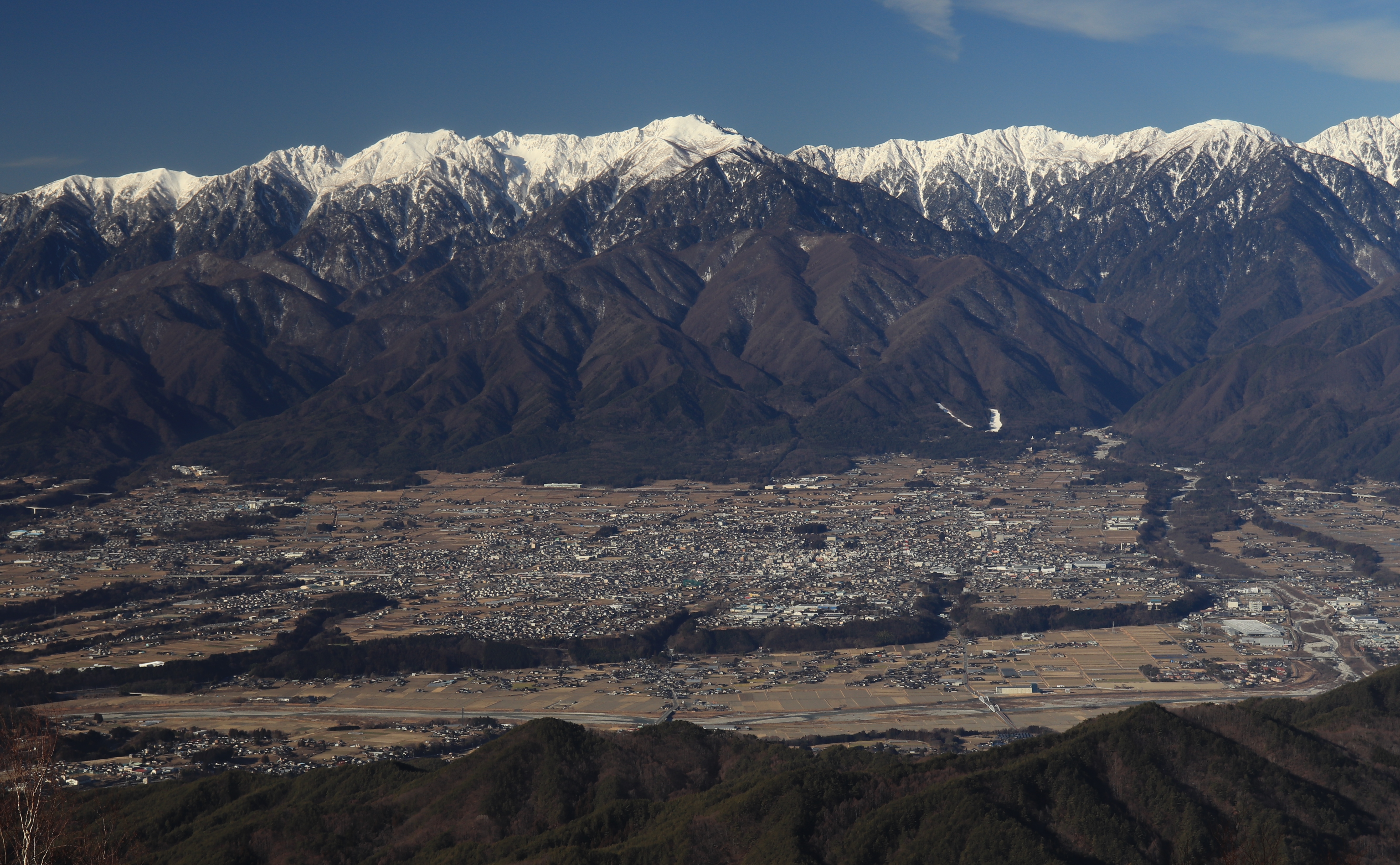 駒根市