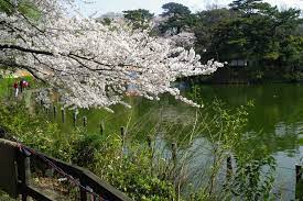 洗足池公園