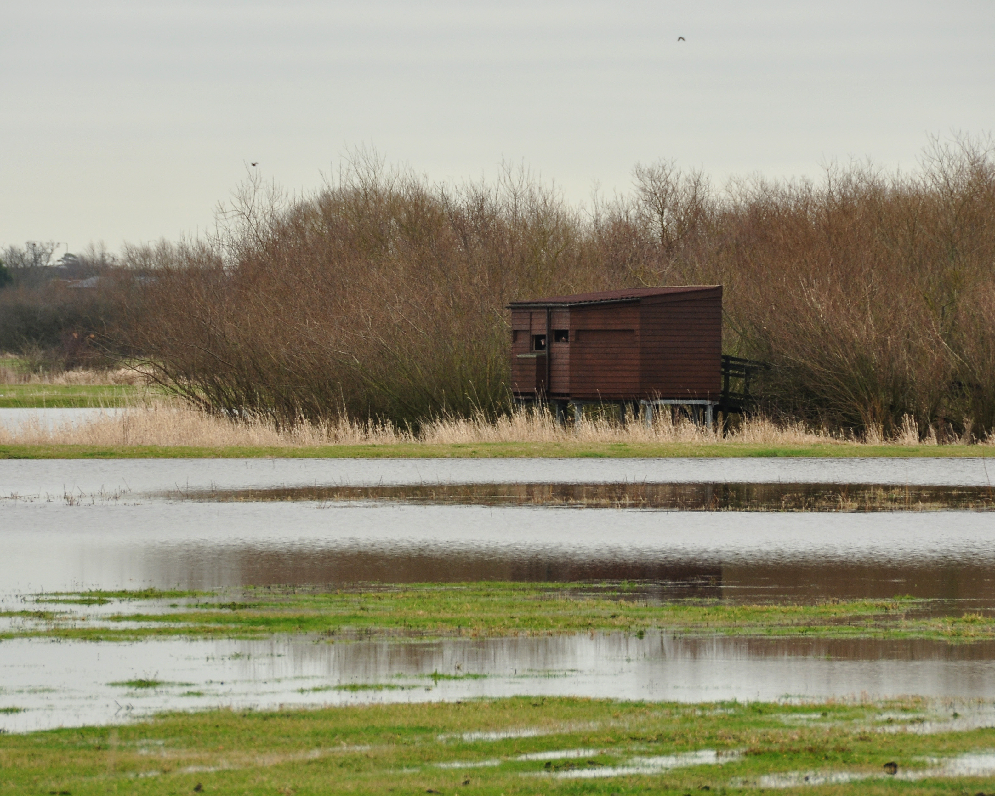 Coombe Hill Canal