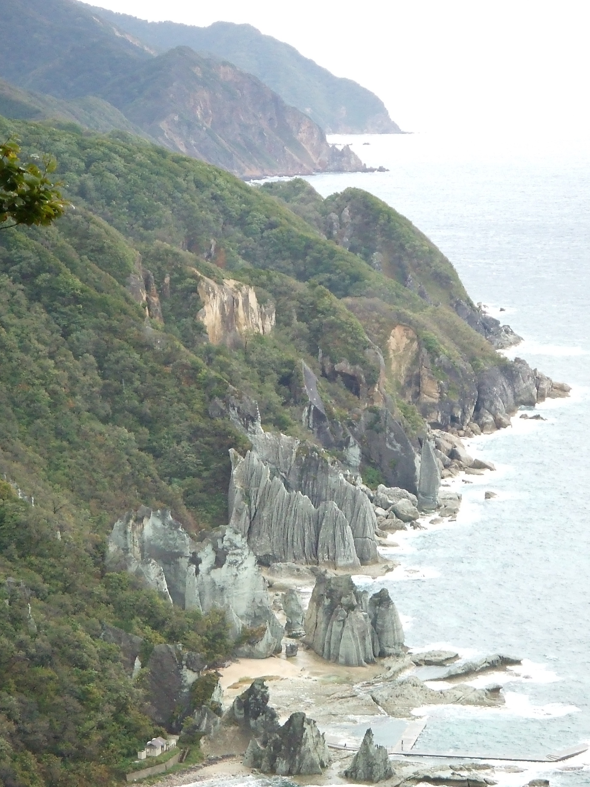 佐井村
