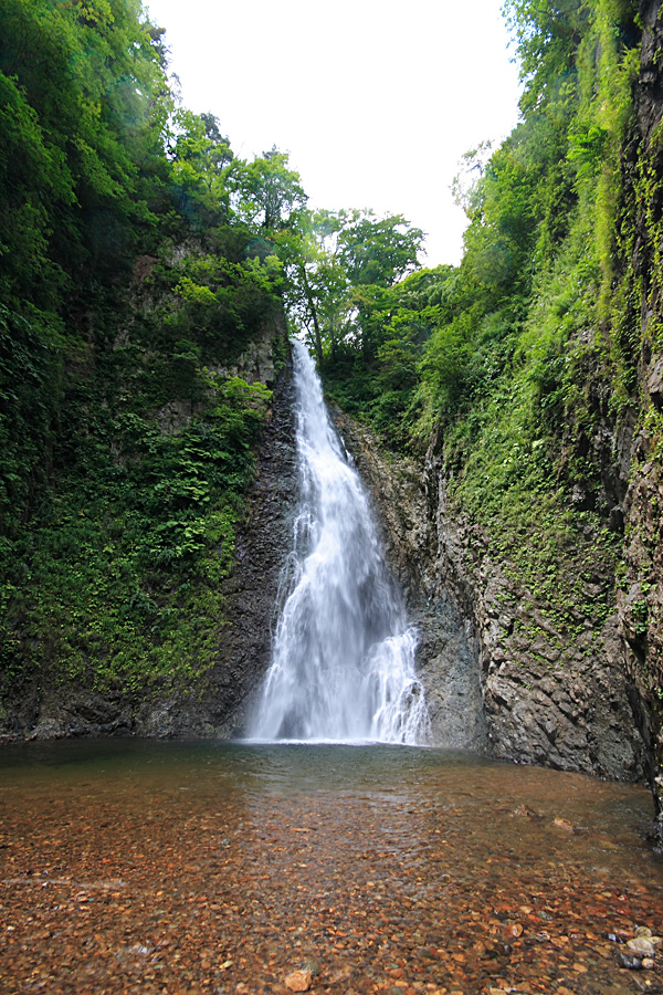 白神山地