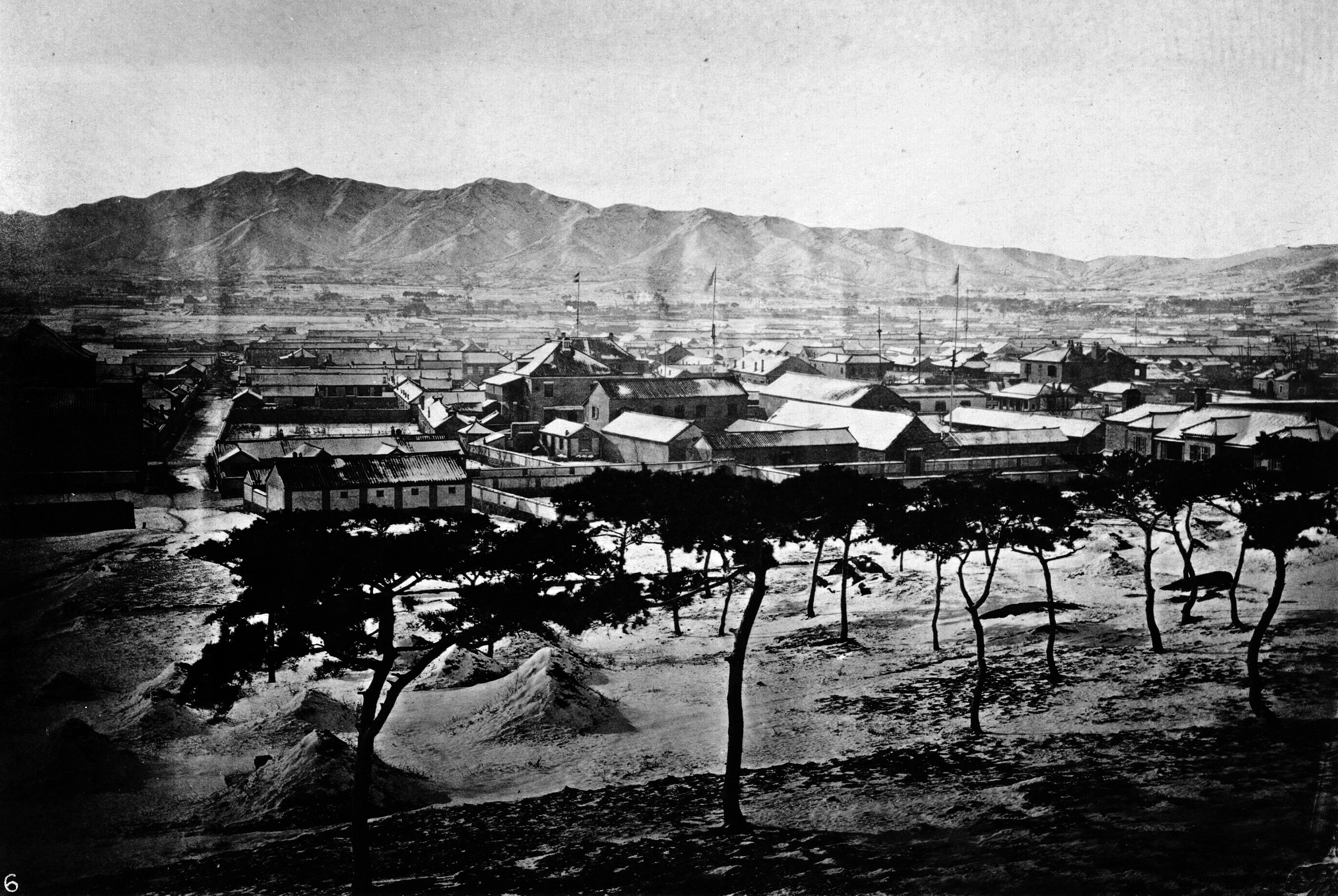 煙台市