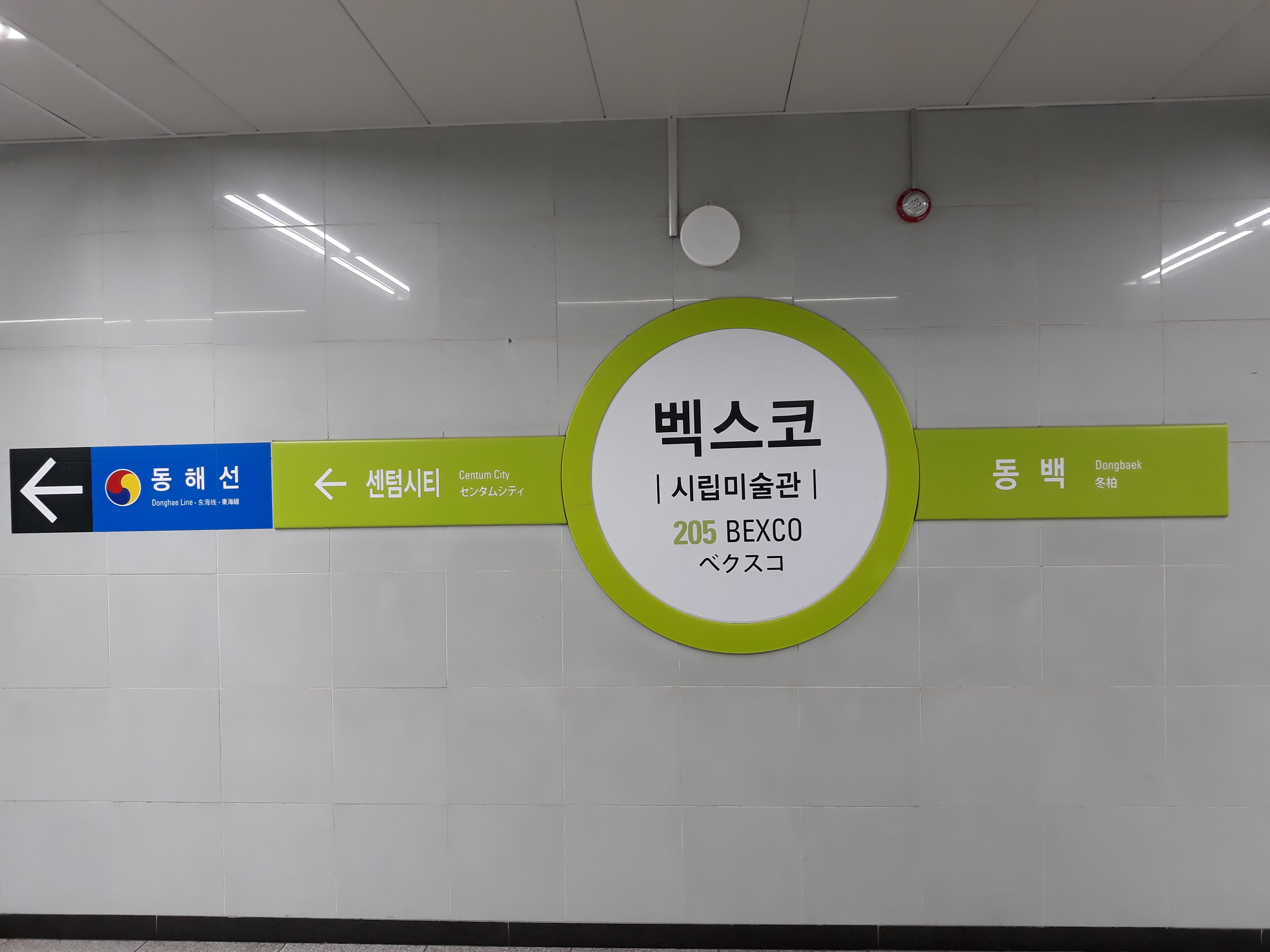 BEXCO站