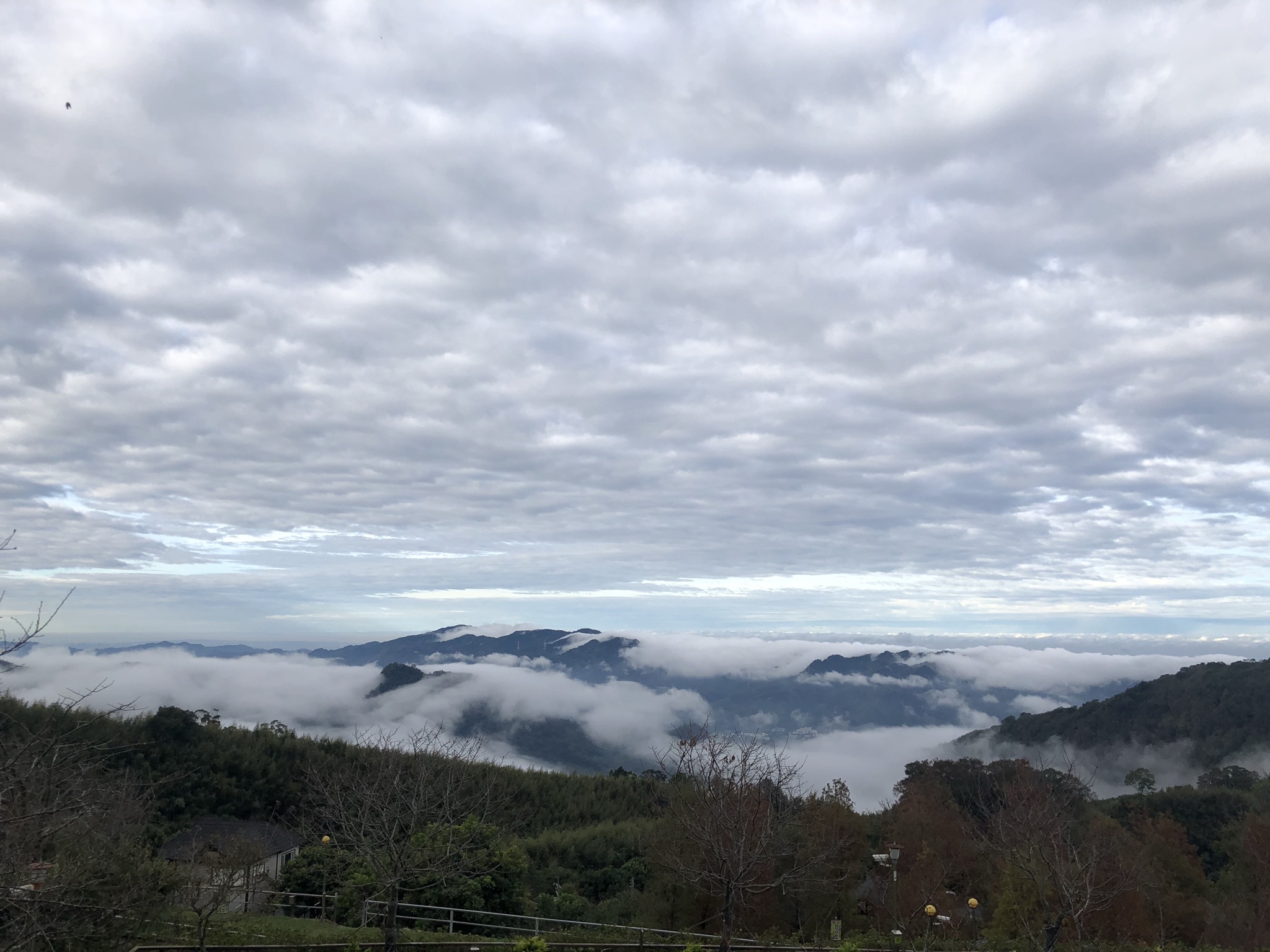 五峰鄉