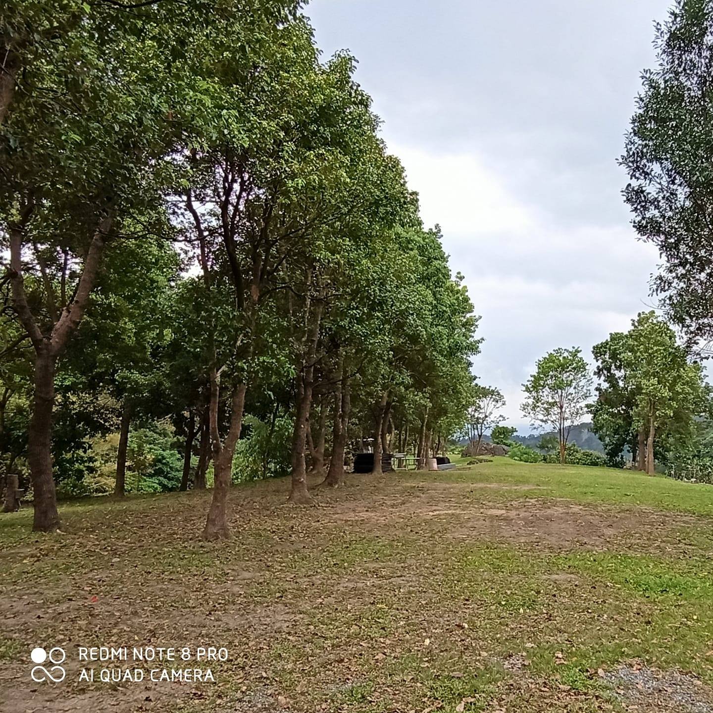 台東天闊休閒露營區