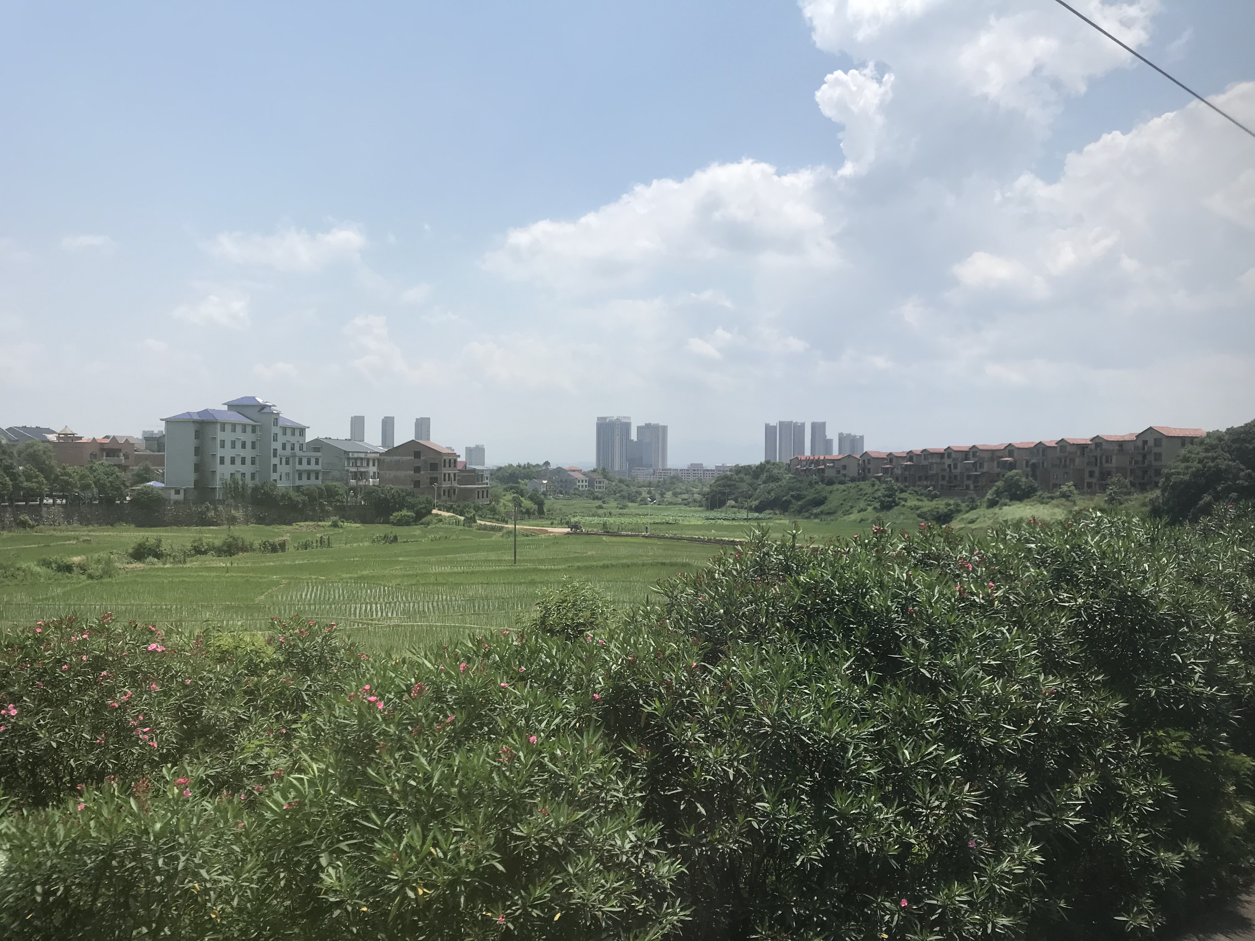 株洲市