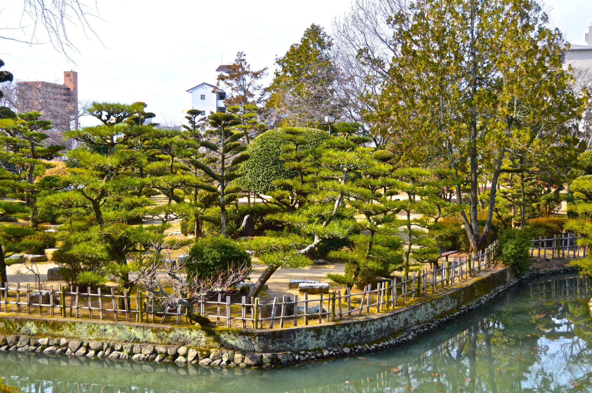 道後公園