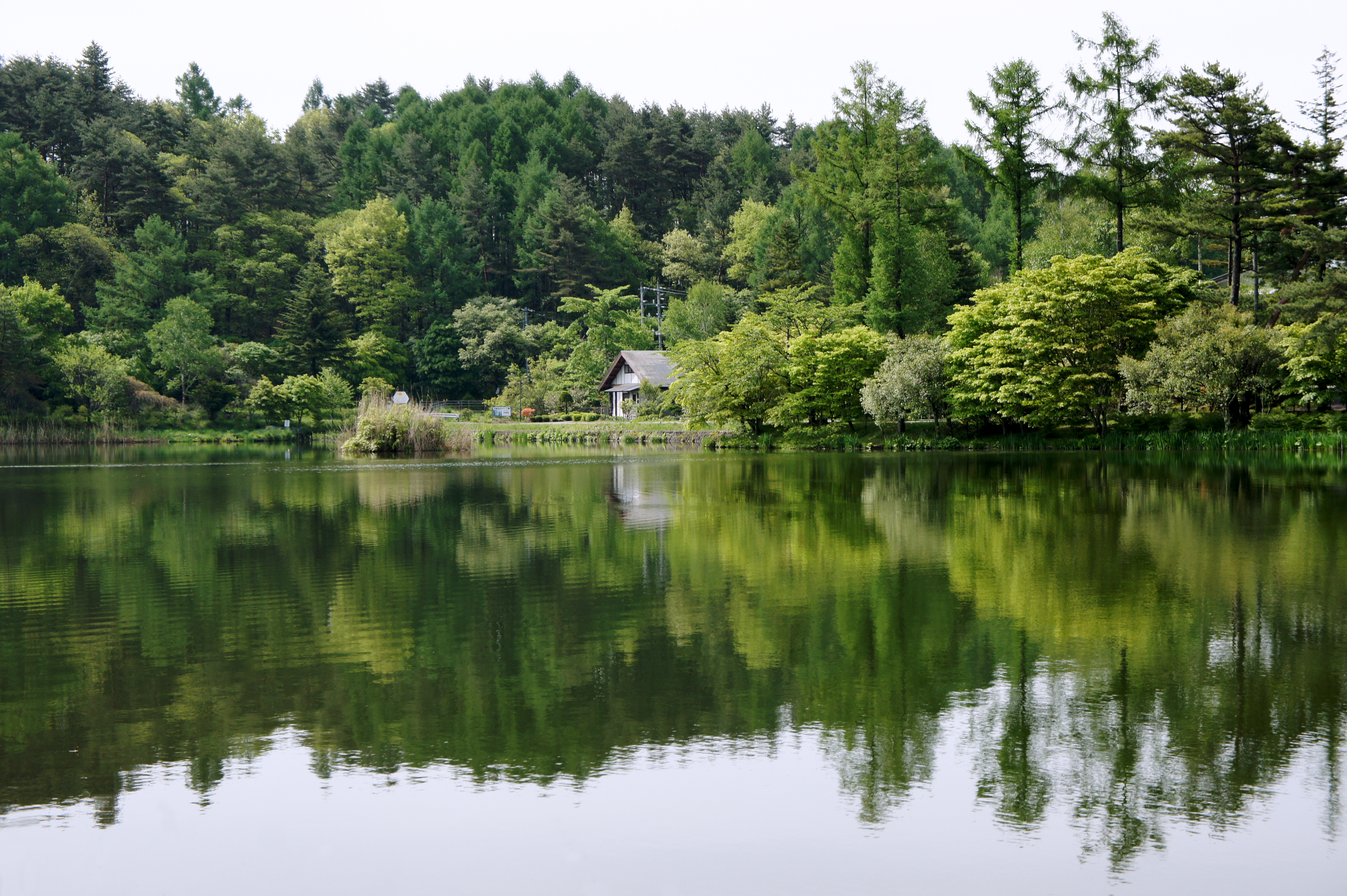 茅野市