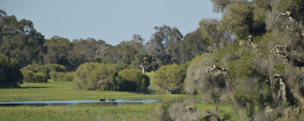 Whiteman Park
