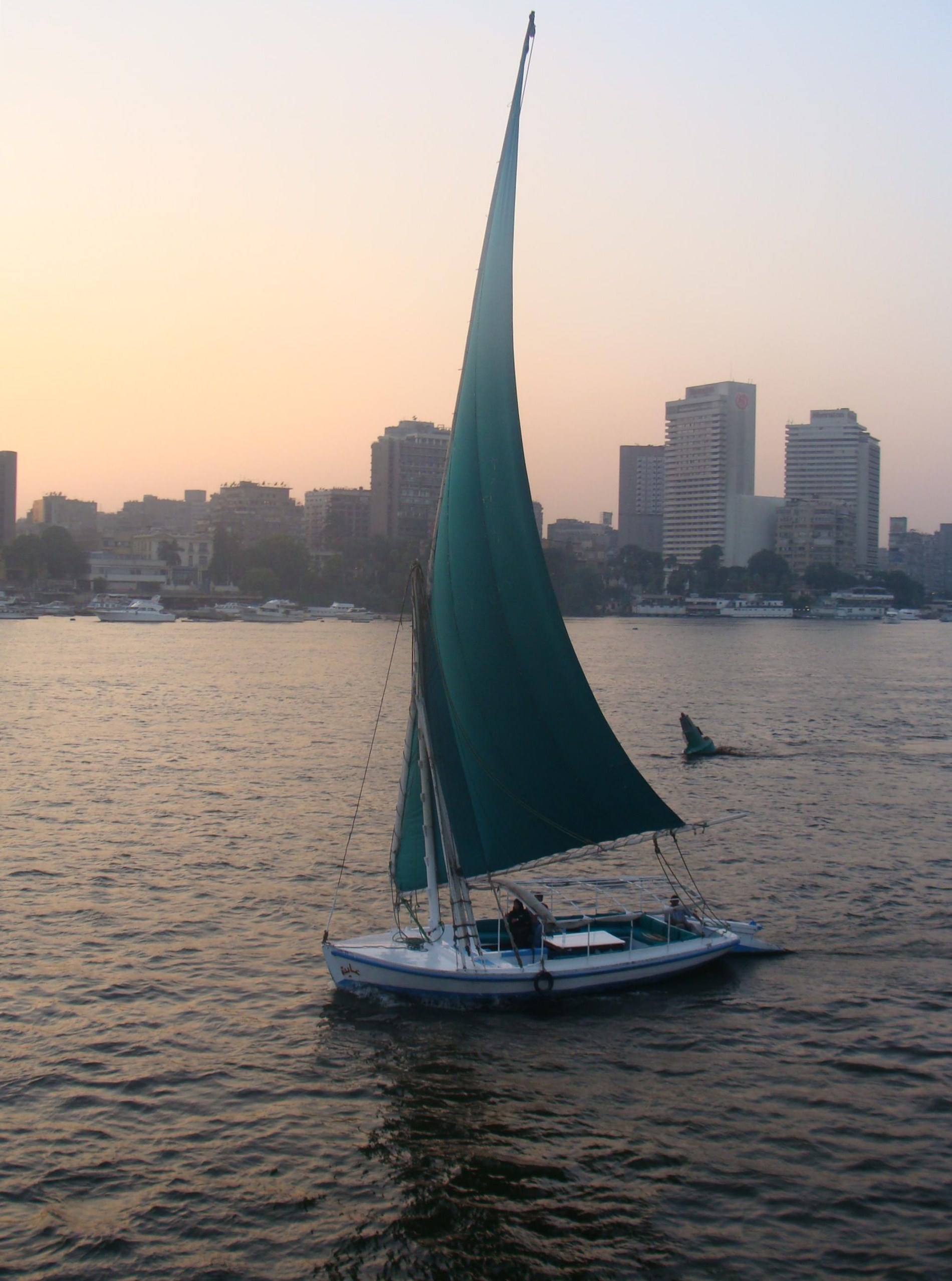 Zamalek