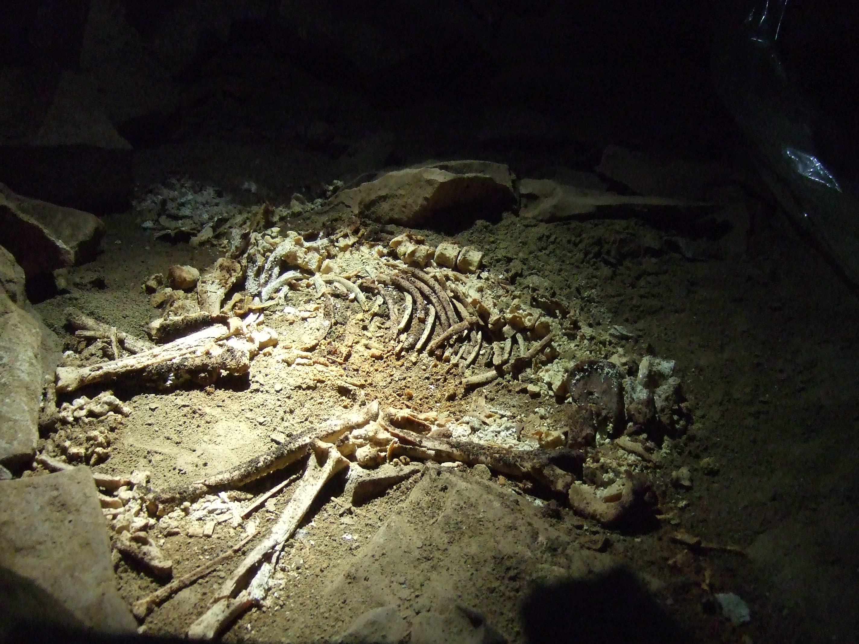 Slaughter Stream Cave