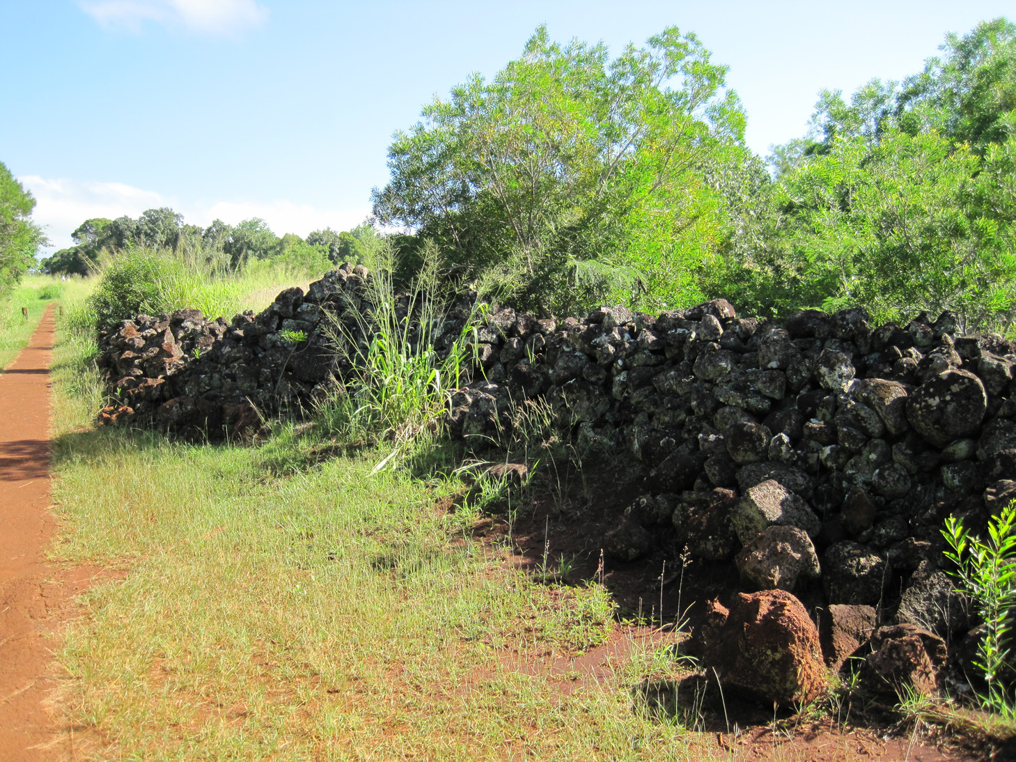 Pu'u o Mahuka Heiau State Monument