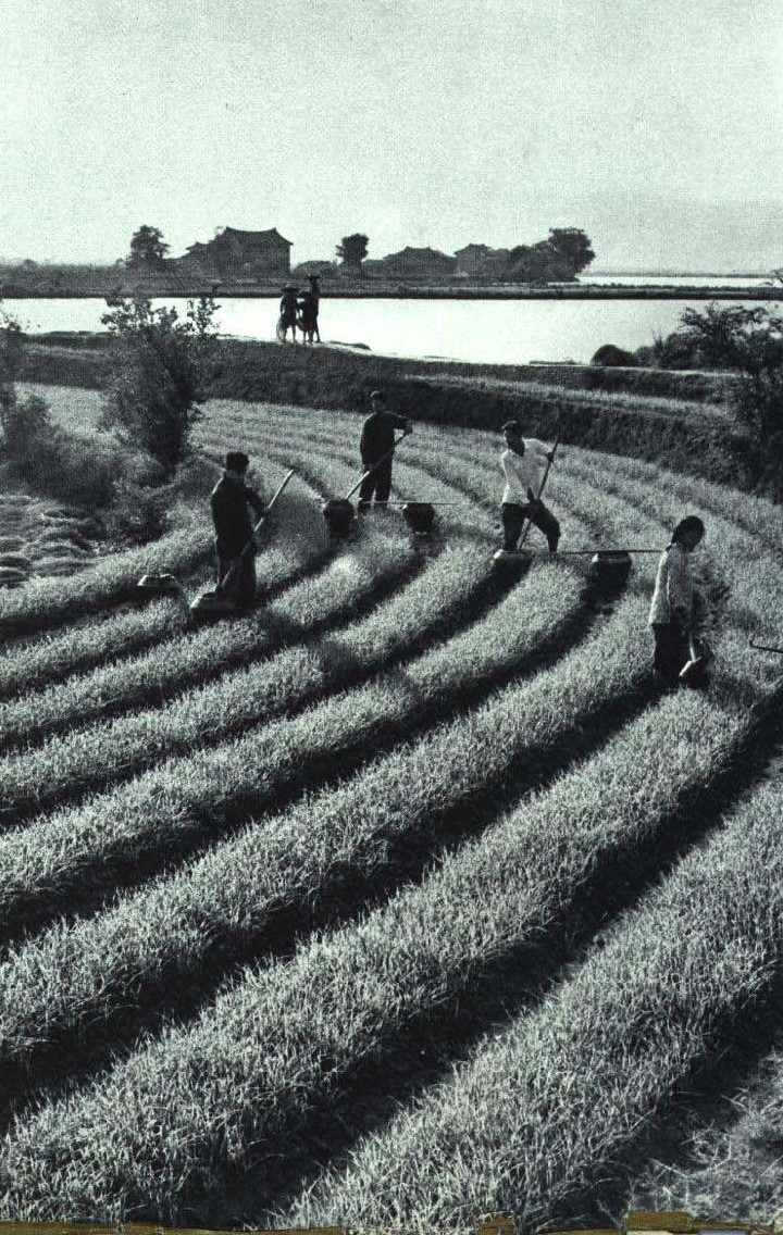 莆田市