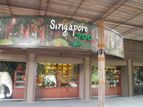 新加坡動物園