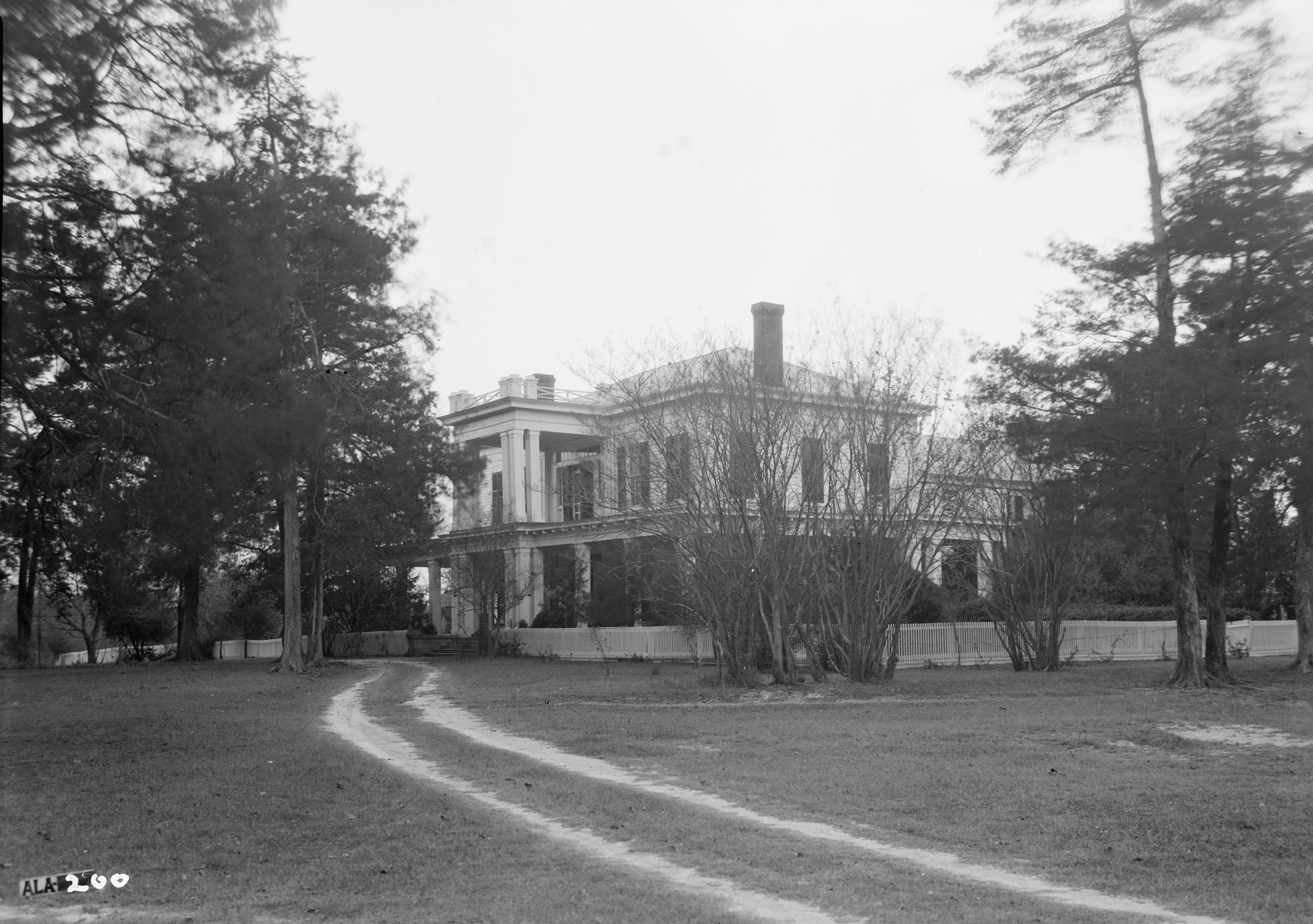 Cedar Grove Plantation