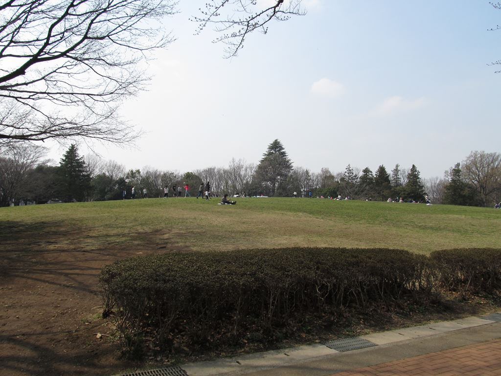 府中之森公園
