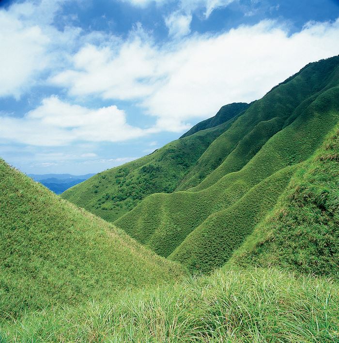 抹茶山