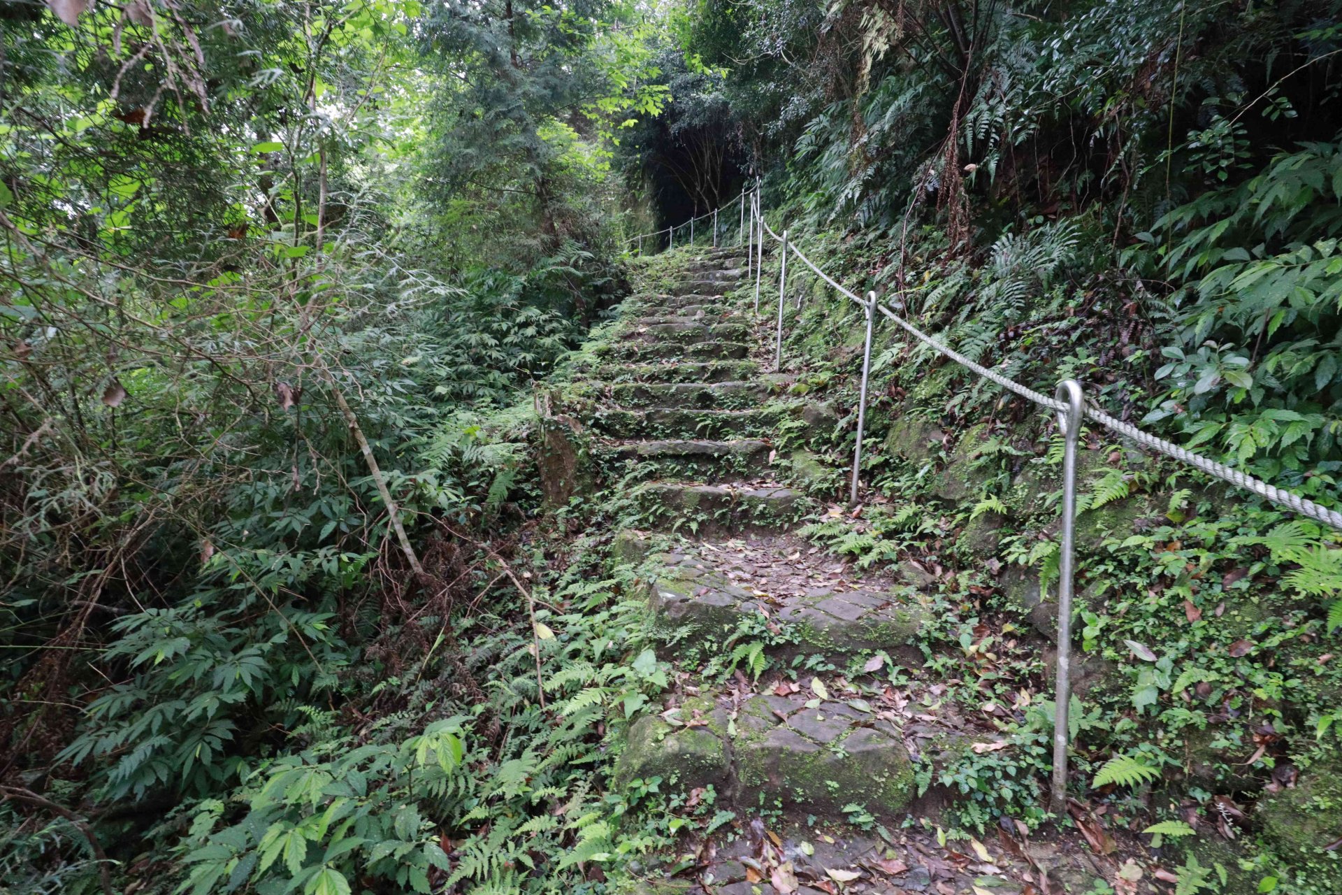 新竹五指山風景區