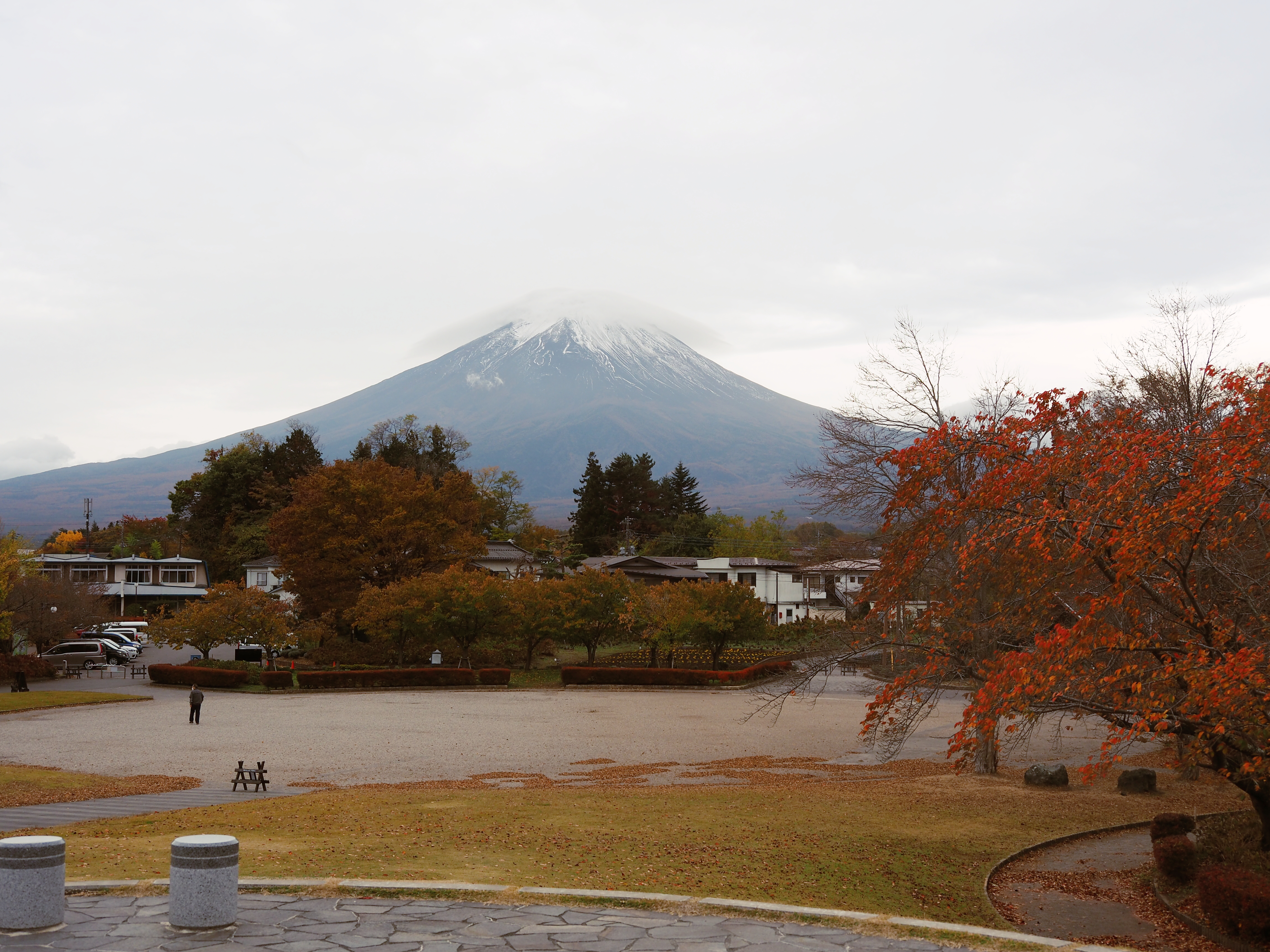 八木崎公園