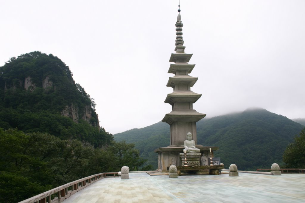 奉化郡