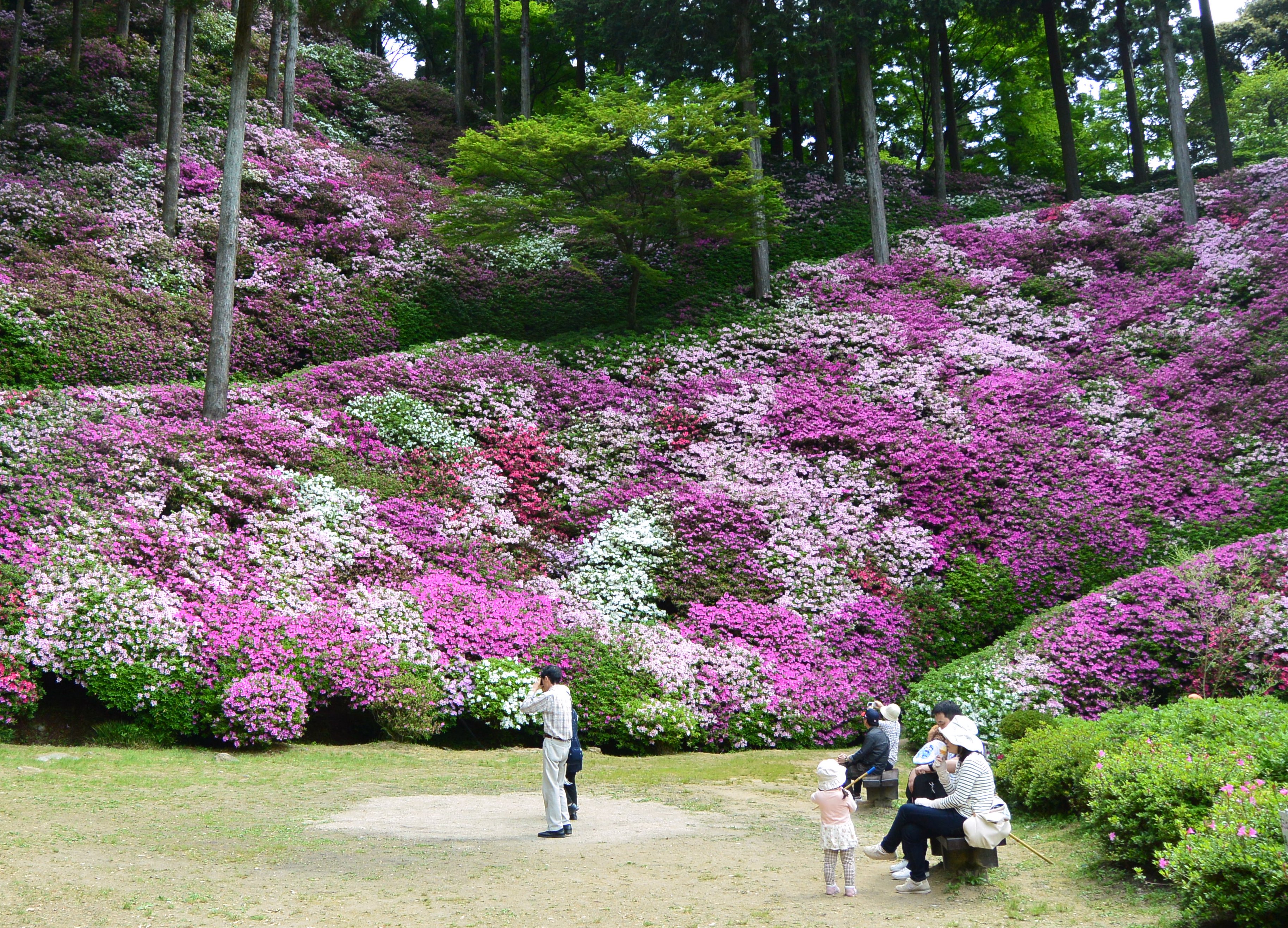 基山町