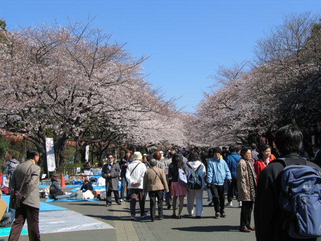 上野恩賜公園