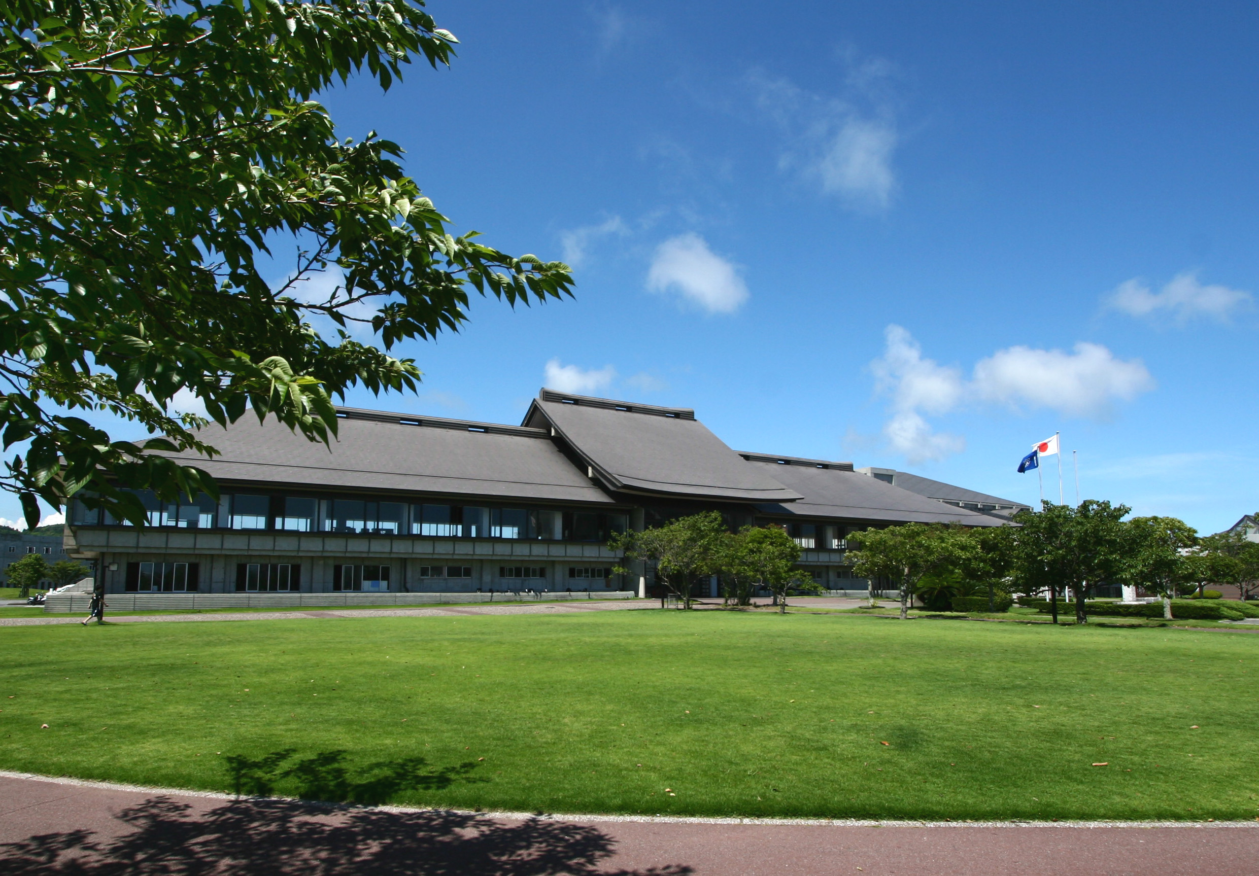 國際武道大學
