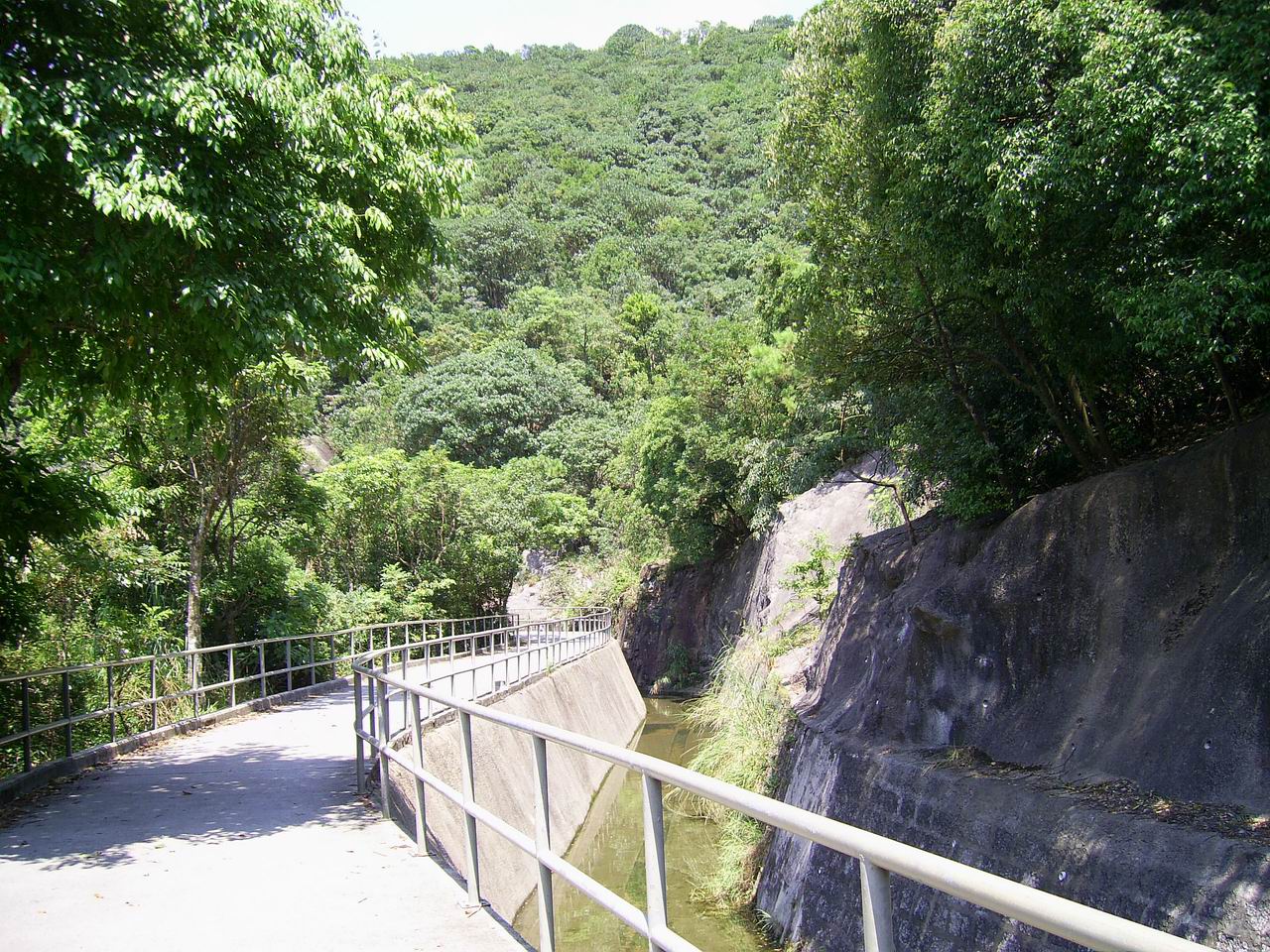 獅子山郊野公園