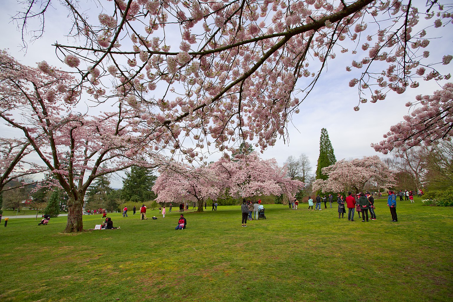 伊麗莎白女王公園