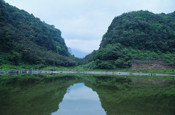 蓮花池