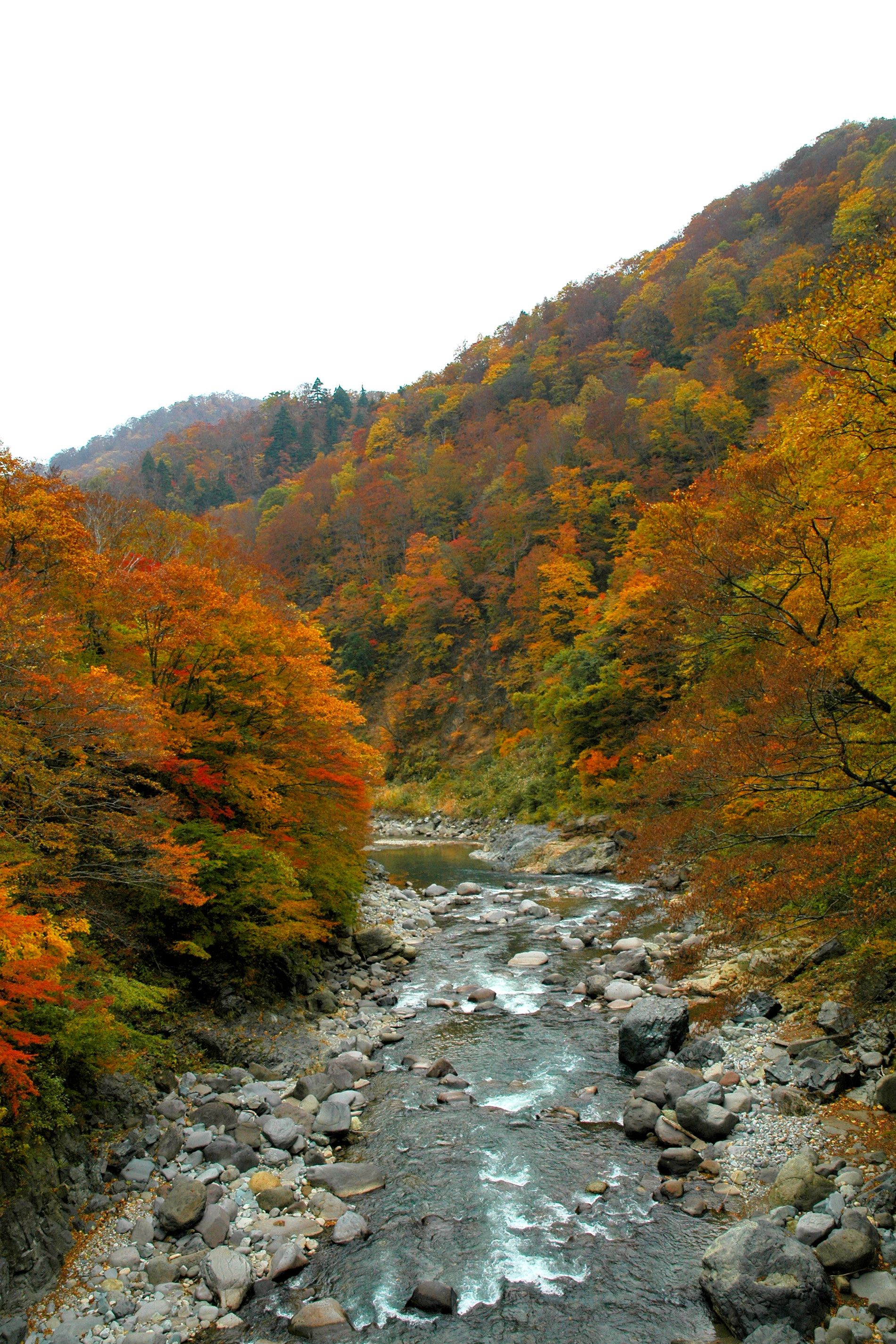 津南町