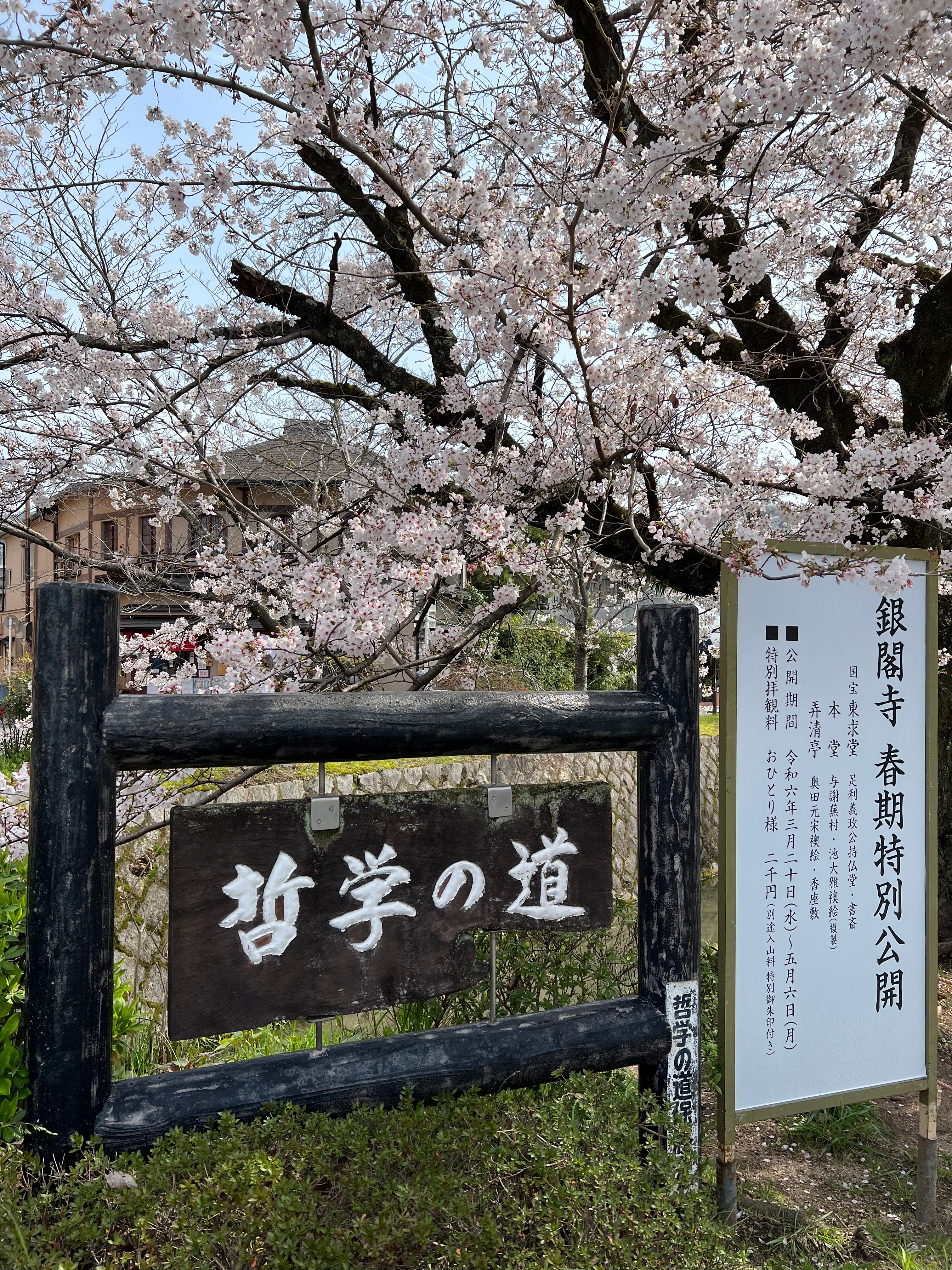 哲學之道