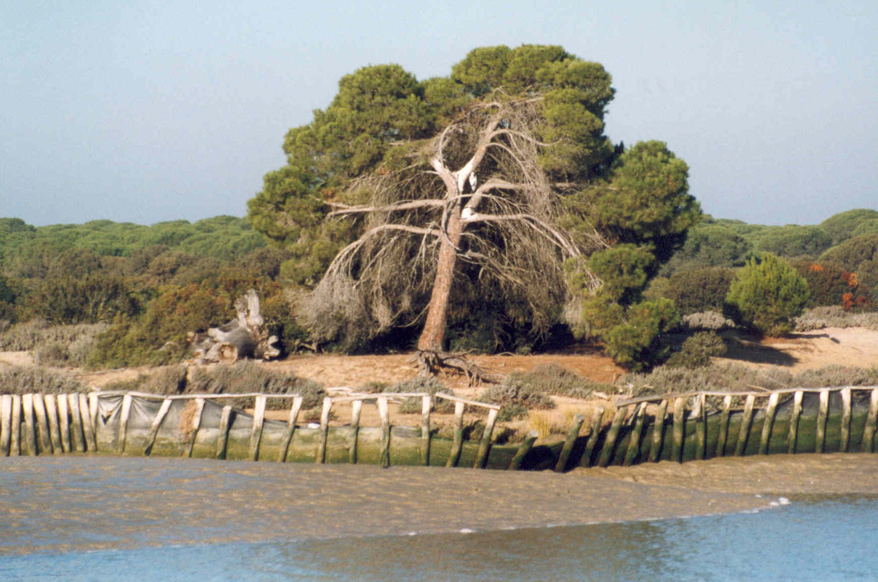 多尼亞納國家公園